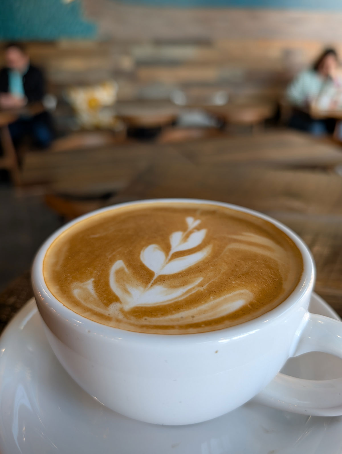 Foxtail Coffee Co. - Coffee