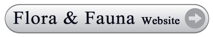 Flora and Fauna Website