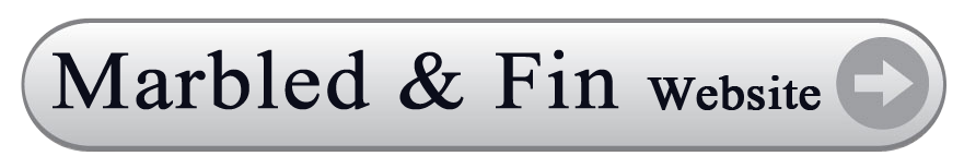 Marbled & Fin Savannah Website