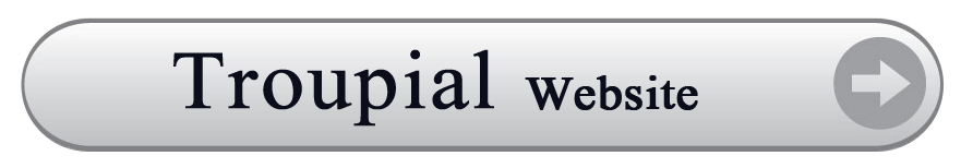 Troupial Website