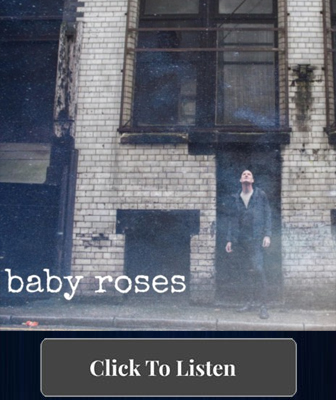 Baby Roses