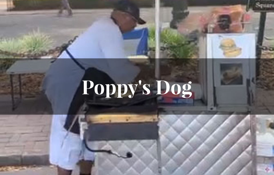 Poppy's Dog